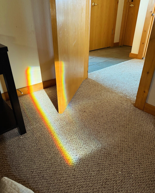 4804BA2F-A02B-4A9F-A381-CECC65E3736E