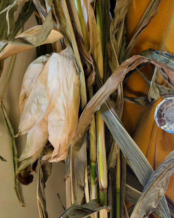 59C7452A-81D1-43F9-B495-9F31DBA3958A