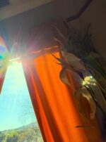 733373BD-EE1C-4CAD-9BB5-3FD835AEAC08_1_105_c