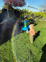 755F9C51-B5B6-4BAE-8CAE-21D5AA181AA1