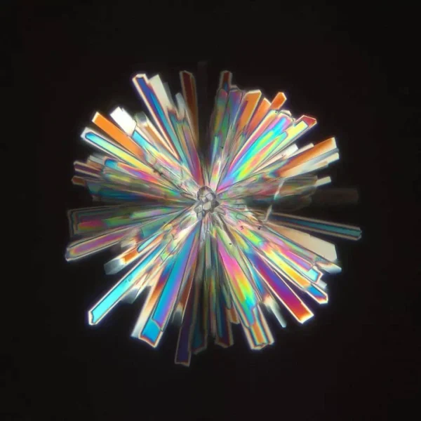 Acupuncture+Rochester+Ny+Honey