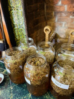 D03A5093-7FAC-48F4-B526-776ECA648290