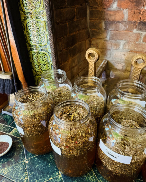 D03A5093-7FAC-48F4-B526-776ECA648290