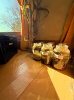 D5BD5DE4-2C52-4D03-88A9-4E337C5720FD_1_105_c