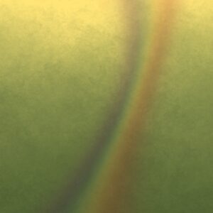 Spica Altar Cases + Cozies