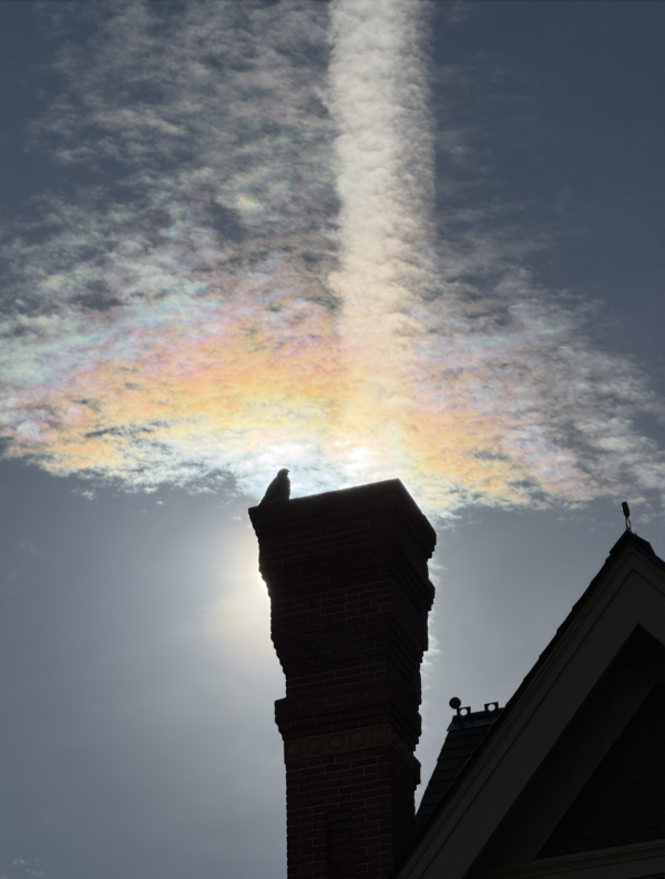 Screenshot 2026-03-26 at 2.00.02 PM