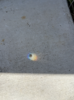 Screenshot 2026-03-26 at 2.28.57 PM