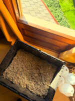 Spica Incense Powder Steep + Smoke