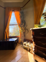 Spica Main Oils Light